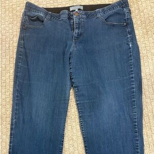 Wit & Wisdom Women's Blue Jeans